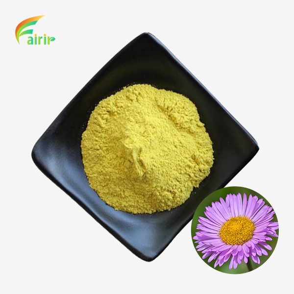 Natural Erigeron Breviscapus Extract